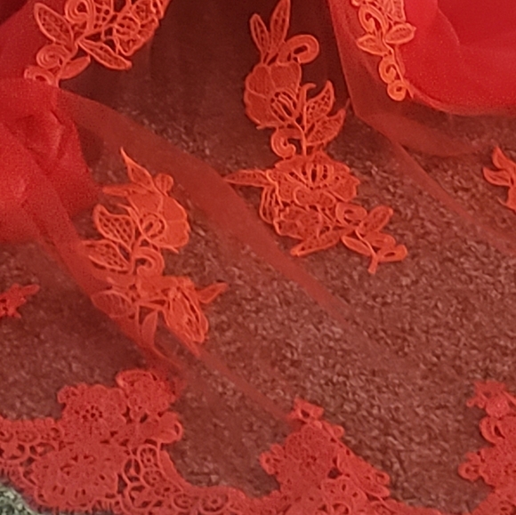 Glam Holiday Red 14 Formal Antique Lace Embroidered Floral Castle Gown New - Picture 6 of 6